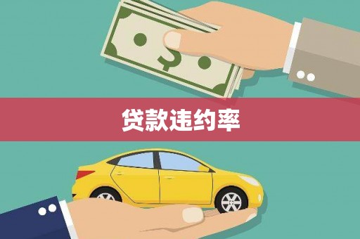 竹山贷款违约率