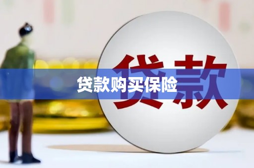 竹山贷款购买保险