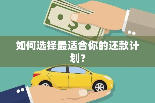 竹山如何选择最适合你的还款计划？