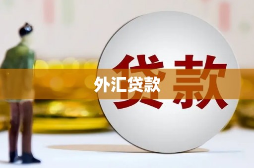 竹山外汇贷款