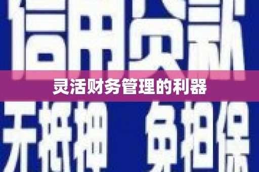 竹山灵活财务管理的利器