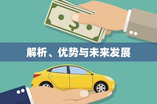 竹山解析、优势与未来发展