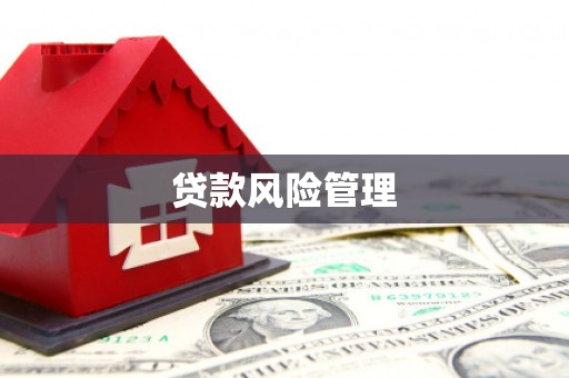竹山贷款风险管理