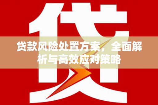 竹山贷款风险处置方案，全面解析与高效应对策略
