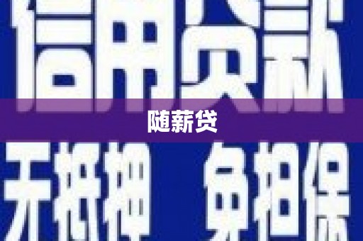 竹山随薪贷