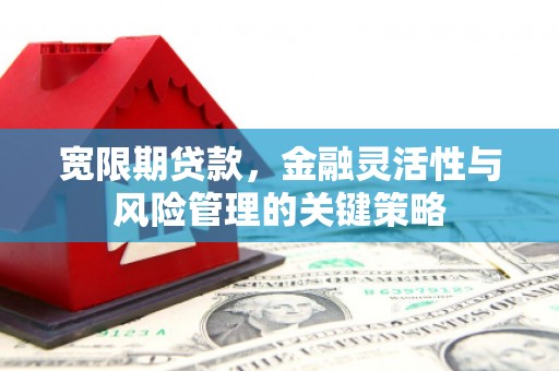竹山宽限期贷款，金融灵活性与风险管理的关键策略