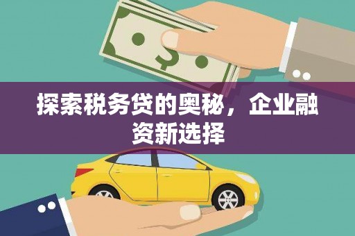 竹山探索税务贷的奥秘，企业融资新选择