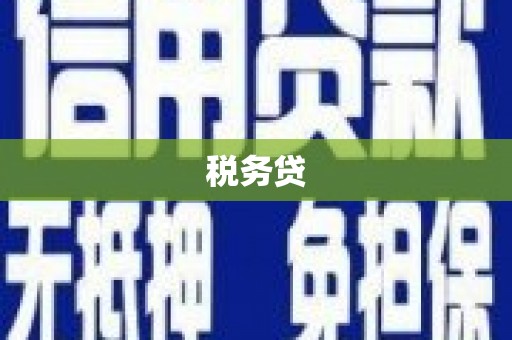 竹山税务贷