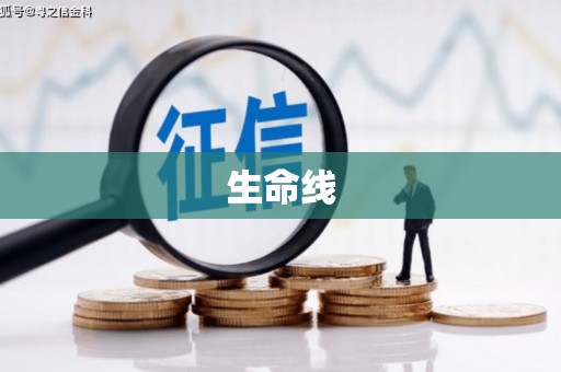 竹山生命线