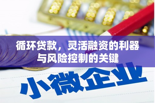 竹山循环贷款，灵活融资的利器与风险控制的关键