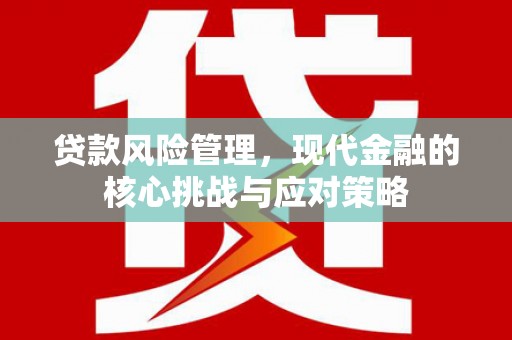 竹山贷款风险管理，现代金融的核心挑战与应对策略