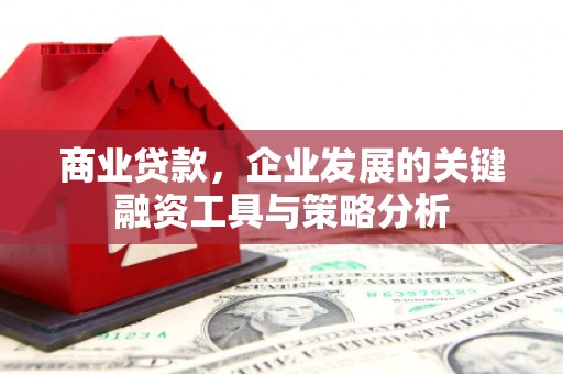竹山商业贷款，企业发展的关键融资工具与策略分析