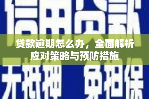 竹山贷款逾期怎么办，全面解析应对策略与预防措施