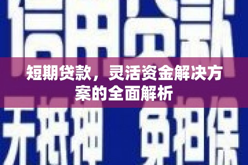 竹山短期贷款，灵活资金解决方案的全面解析