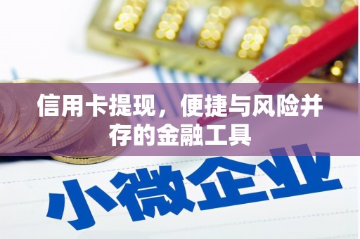 竹山信用卡提现，便捷与风险并存的金融工具
