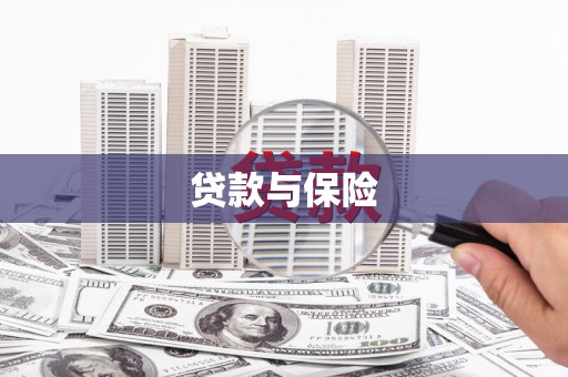竹山贷款与保险