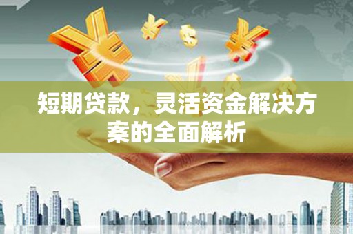 竹山短期贷款，灵活资金解决方案的全面解析
