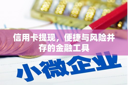 竹山信用卡提现，便捷与风险并存的金融工具
