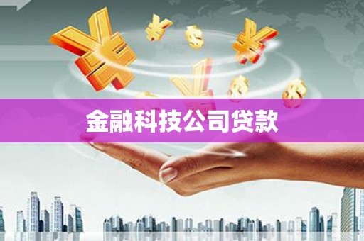 竹山金融科技公司贷款