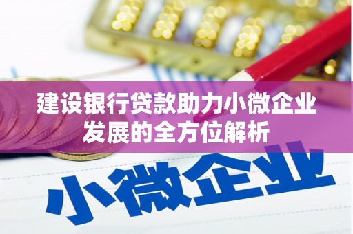 竹山建设银行贷款助力小微企业发展的全方位解析