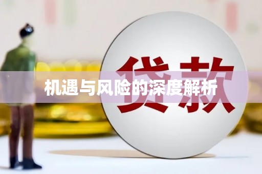 竹山机遇与风险的深度解析