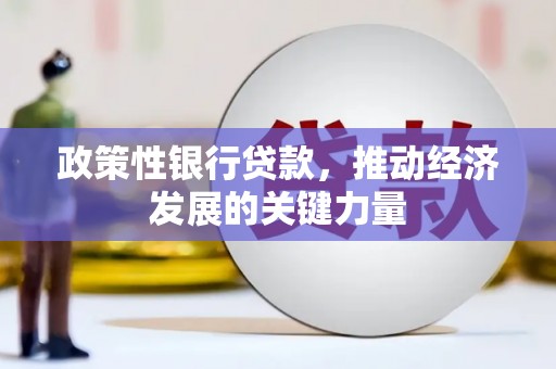 竹山政策性银行贷款，推动经济发展的关键力量