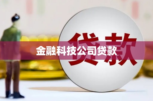 竹山金融科技公司贷款