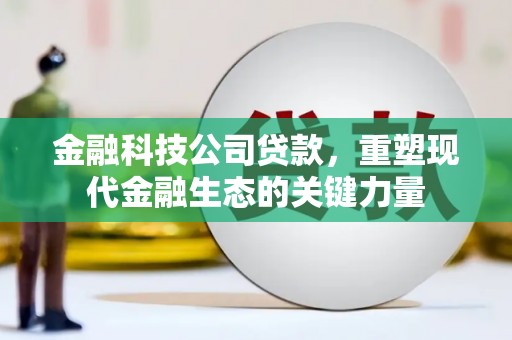 竹山金融科技公司贷款，重塑现代金融生态的关键力量