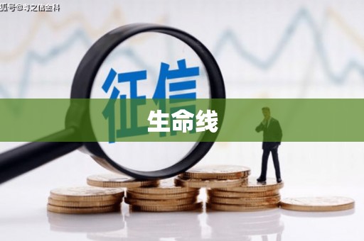 竹山生命线