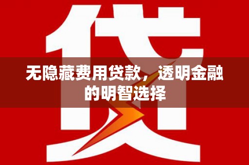 竹山无隐藏费用贷款，透明金融的明智选择