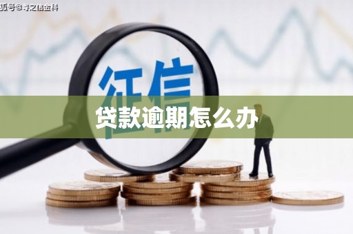 竹山贷款逾期怎么办