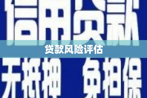 竹山贷款风险评估