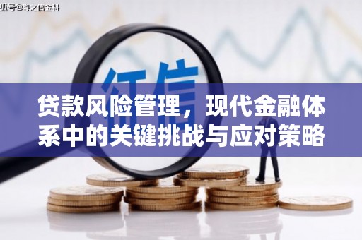 竹山贷款风险管理，现代金融体系中的关键挑战与应对策略