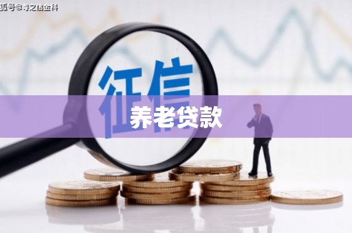 竹山养老贷款