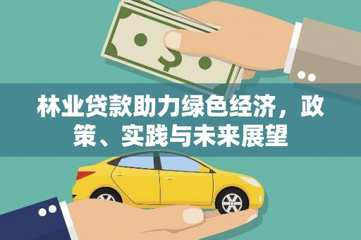竹山林业贷款助力绿色经济，政策、实践与未来展望