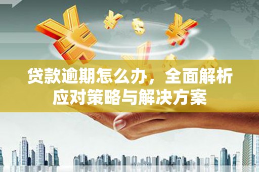竹山贷款逾期怎么办，全面解析应对策略与解决方案