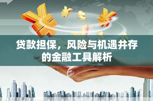 竹山贷款担保，风险与机遇并存的金融工具解析