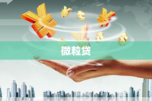 竹山微粒贷