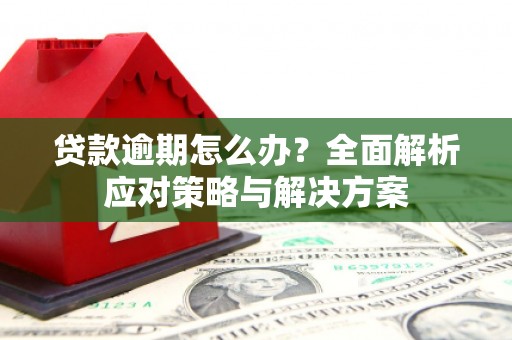 竹山贷款逾期怎么办？全面解析应对策略与解决方案
