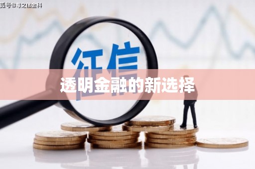 竹山透明金融的新选择