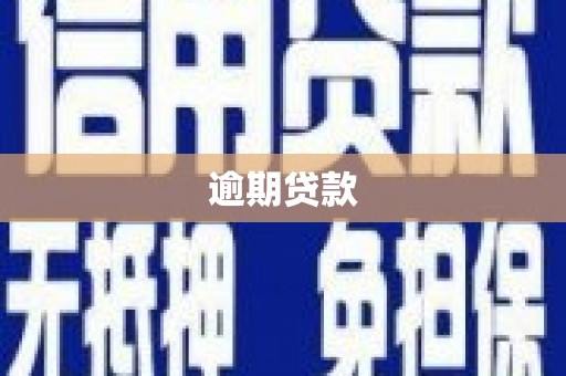 竹山逾期贷款
