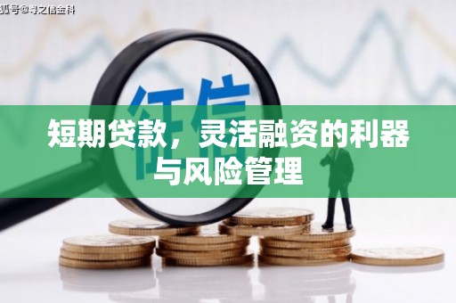 竹山短期贷款，灵活融资的利器与风险管理